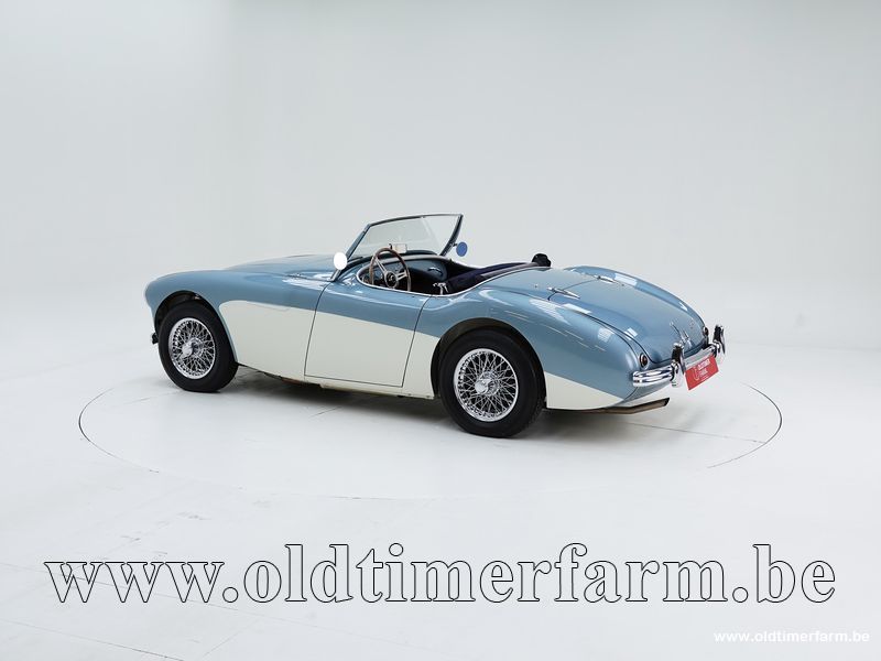 Austin Healey 100/4 BN 1 \'54 