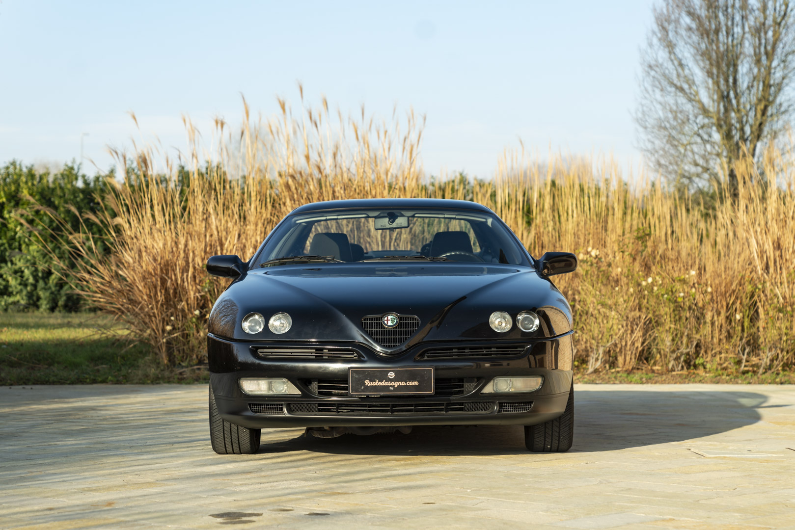 Alfa Romeo GTV V6 TB 