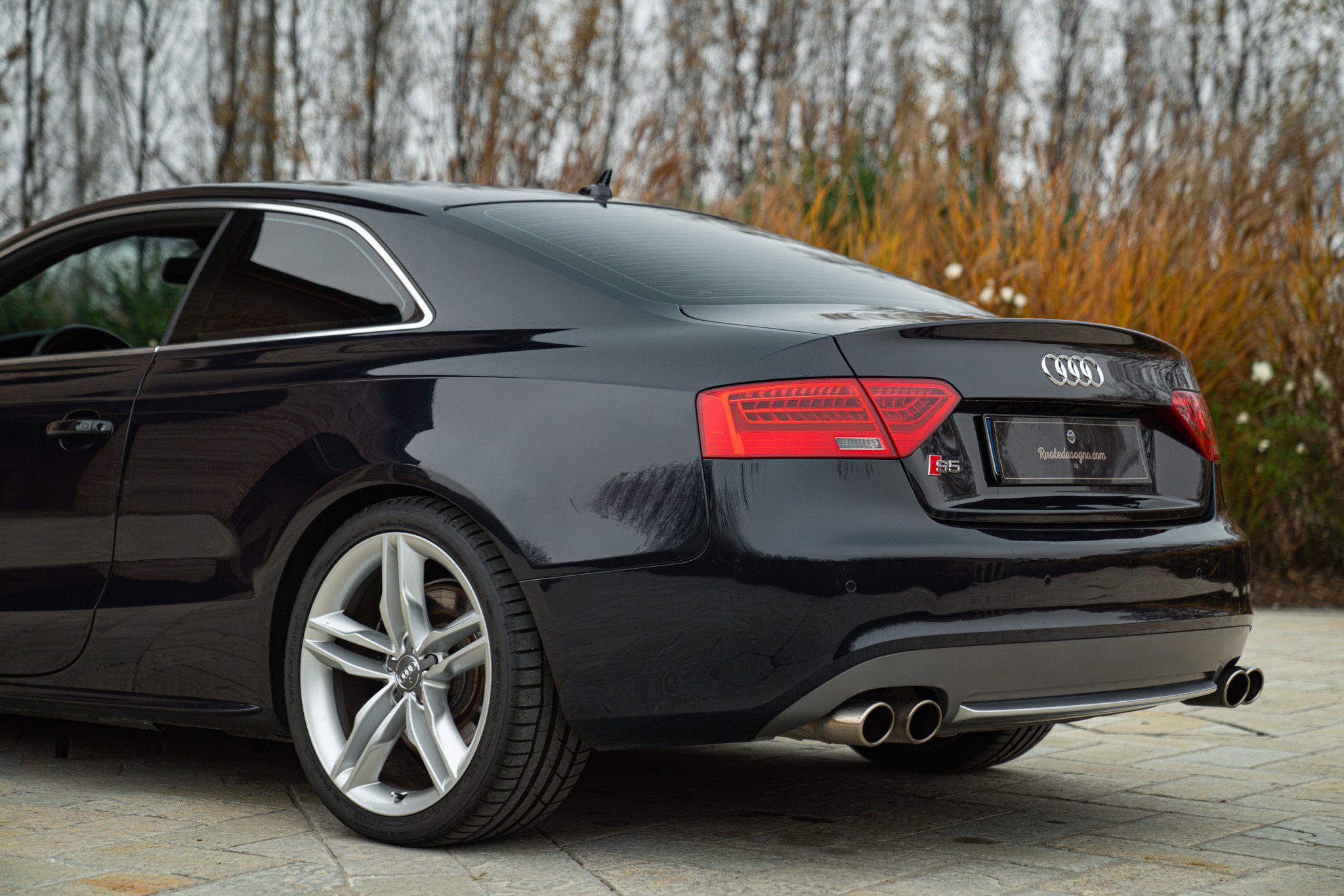 Audi S5 MANUALE 