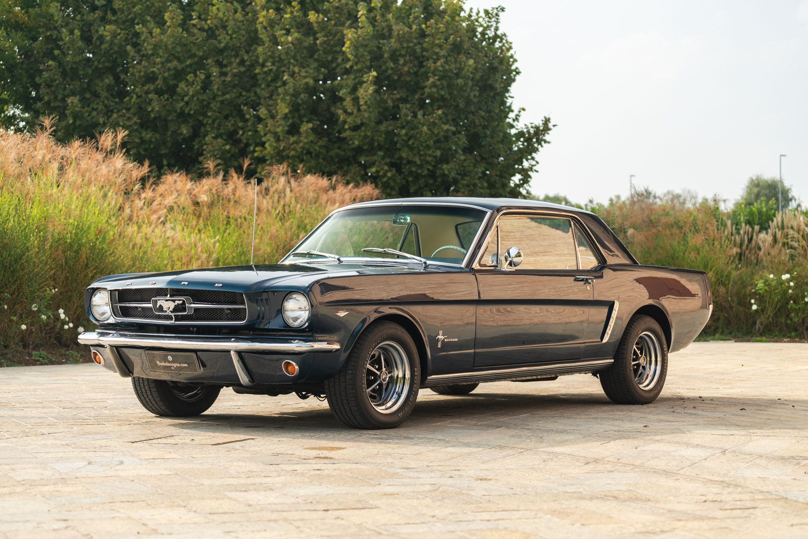 Ford MUSTANG 260 