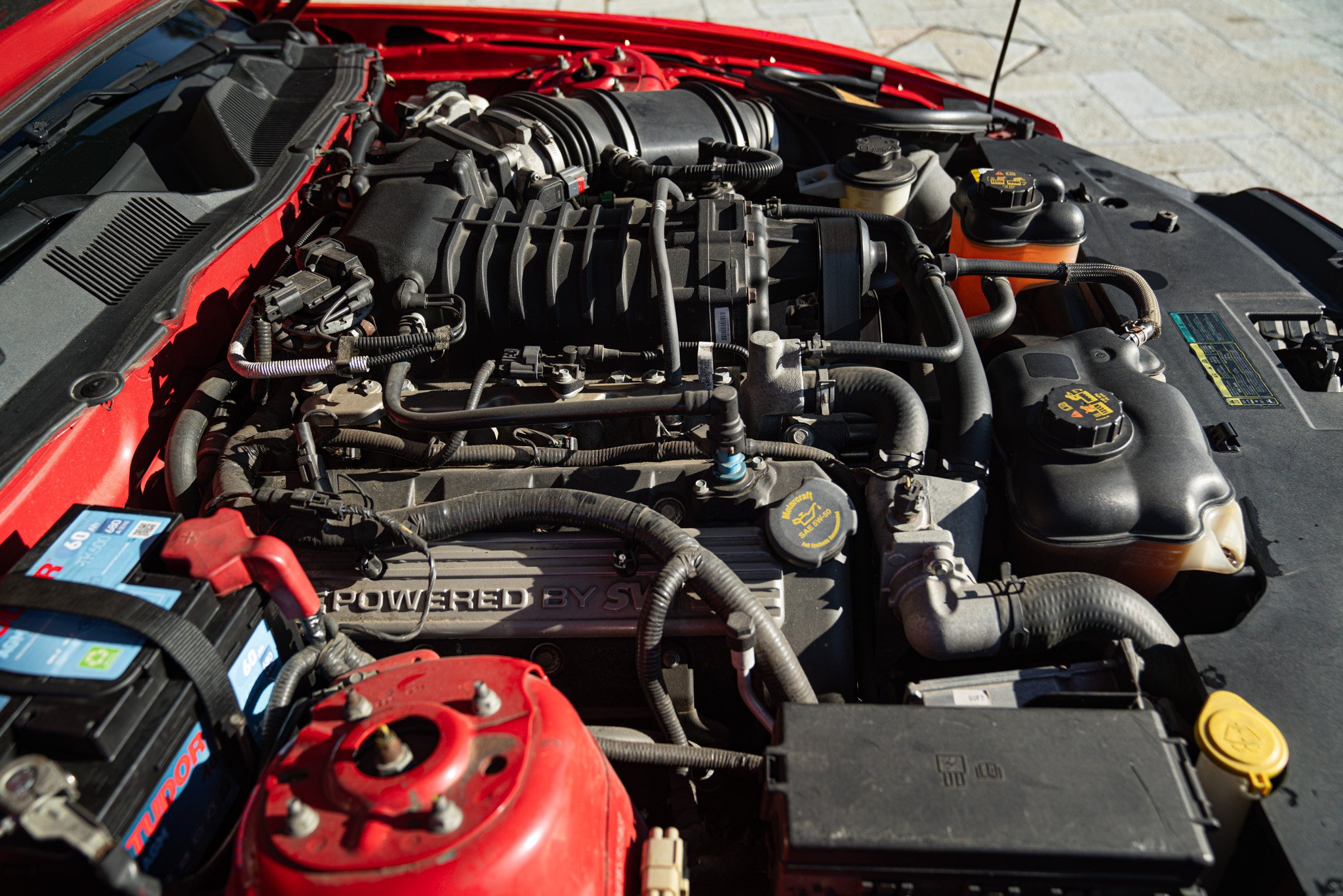 Ford MUSTANG SHELBY 500 V8 GT CABRIOLET 