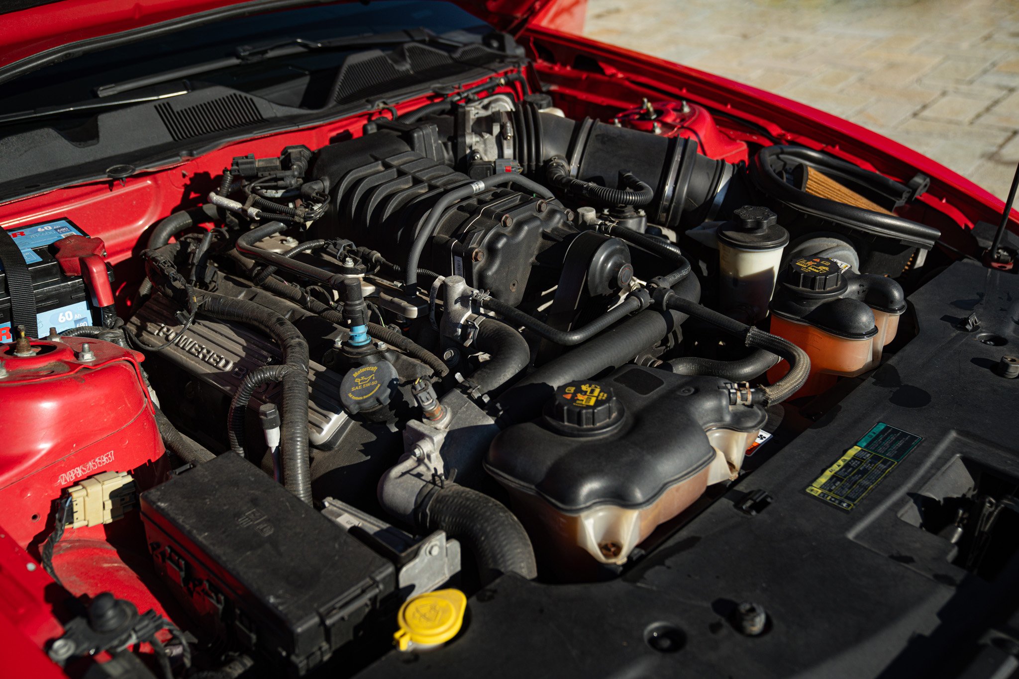 Ford MUSTANG SHELBY 500 V8 GT CABRIOLET 