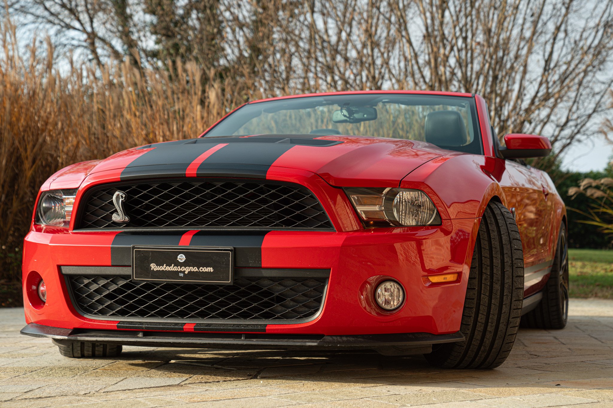 Ford MUSTANG SHELBY 500 V8 GT CABRIOLET 