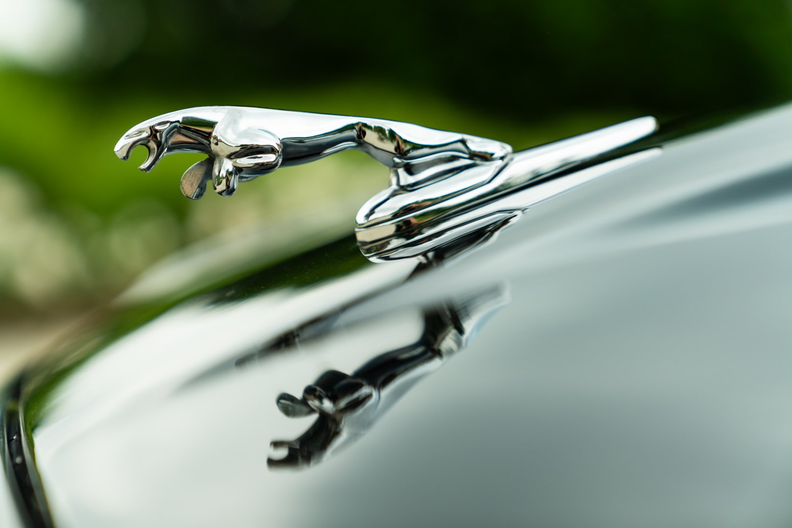 Jaguar XJR 