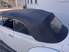 VW Maggiolone Cabrio