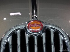 Jaguar XK 140 FHC \'54 