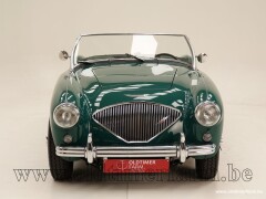 Austin Healey 100/4 BN1 \'54 