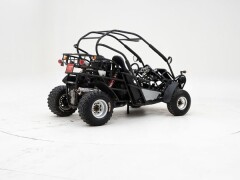 PGO 250 Buggy \'2009 