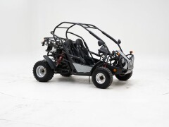 PGO 250 Buggy \'2009 