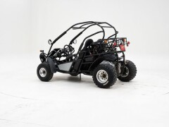 PGO 250 Buggy \'2009 