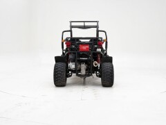 PGO 250 Buggy \'2009 