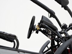 PGO 250 Buggy \'2009 