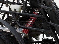 PGO 250 Buggy \'2009 