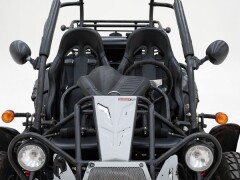 PGO 250 Buggy \'2009 