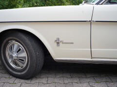 Ford Mustang T 66, 289