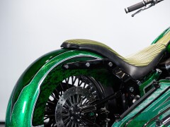 Harley Davidson SOFTAIL HERITAGE SIDECAR 